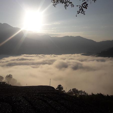 Alishan Shanyunhua B&B Homestay Meishan Exterior photo