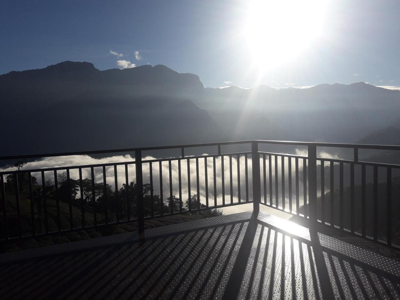 Alishan Shanyunhua B&B Homestay Meishan Exterior photo